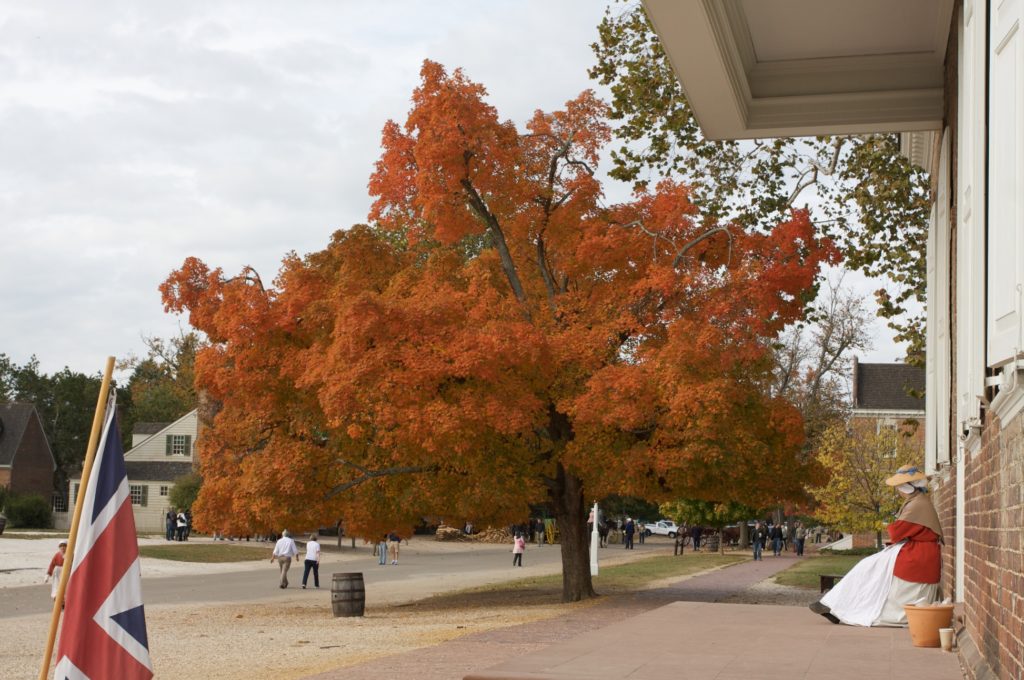 Colonial Williamsburg, Williamsburg, VA, weekend getaway in Virginia, travel,